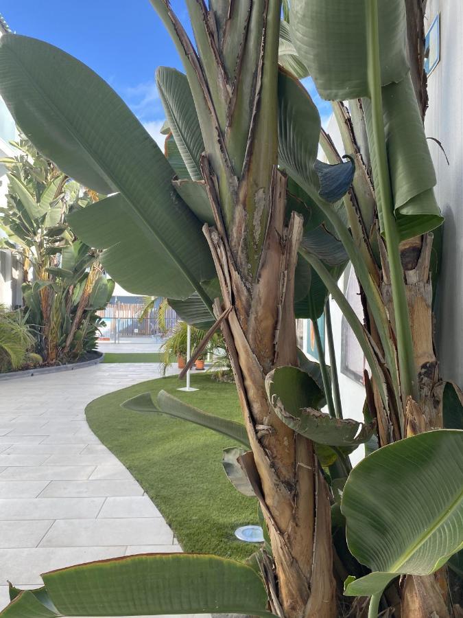 Sun And Surf Stay Corralejo Eksteriør billede